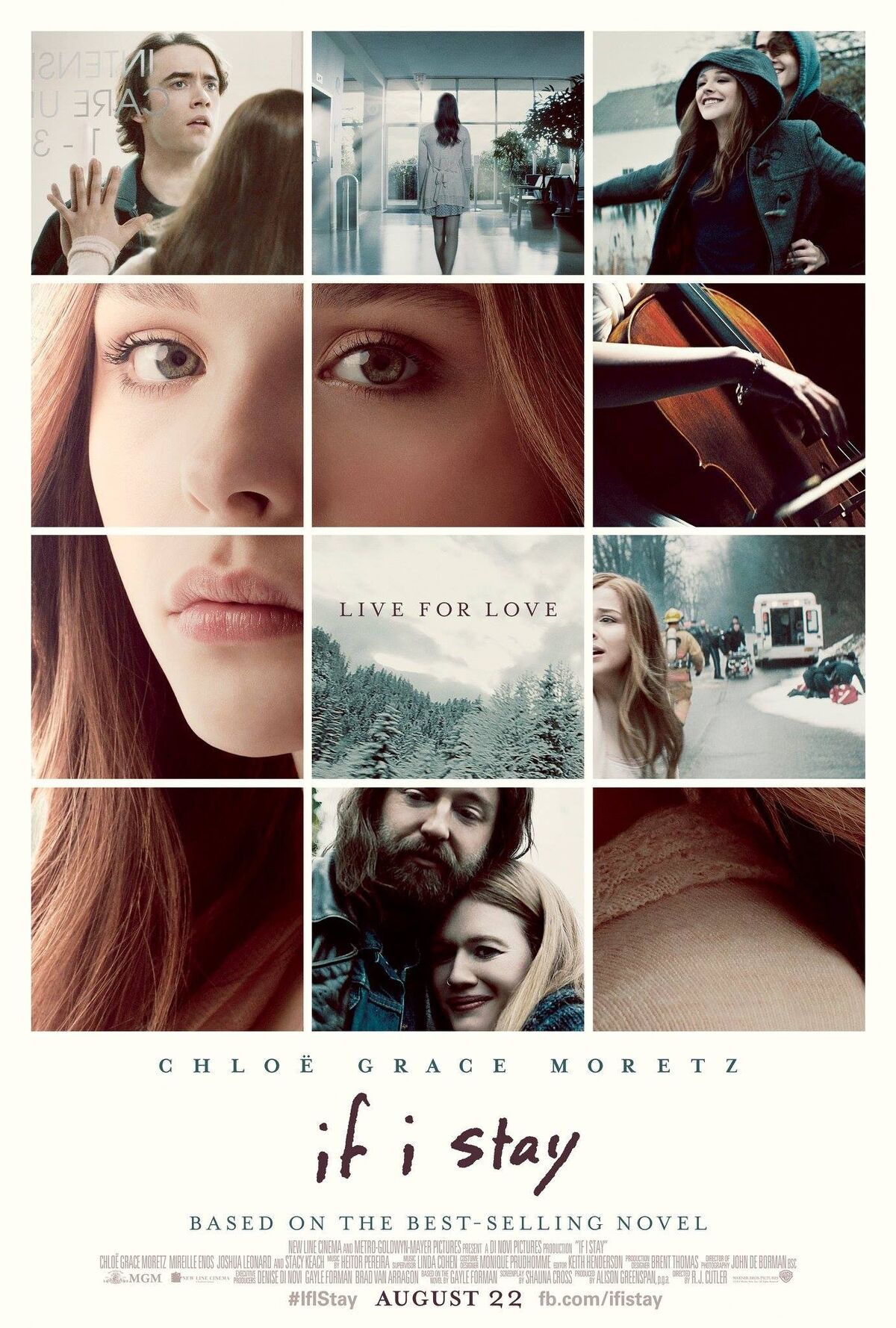 If I Stay (film) | Warner Bros. Entertainment Wiki | Fandom