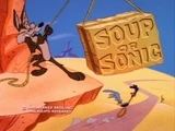 Soup or Sonic