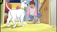 Mary and Krypto