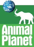 Animal Planet logo used from September 7, 2006 to February 2, 2008.