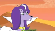 It's a good thing you call us, Krypto we can help you find your boy,