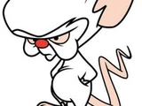 Brain (Pinky and the Brain)