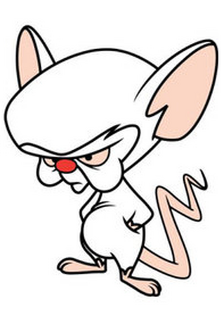 ワーナーブラザース　ピンキー&ブレイン Warner Bros Pinky and the Brain Cartoon: The Complete Kids