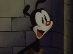 Yakko2.png (125 KB)