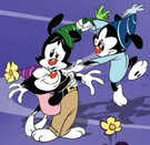 Animaniacsparty.png (158 KB)