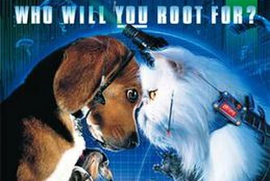 What Breeds were Used in the Movie Cats And Dogs: Revealed!