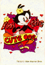 Dotcute