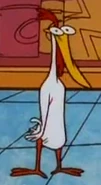 Chicken