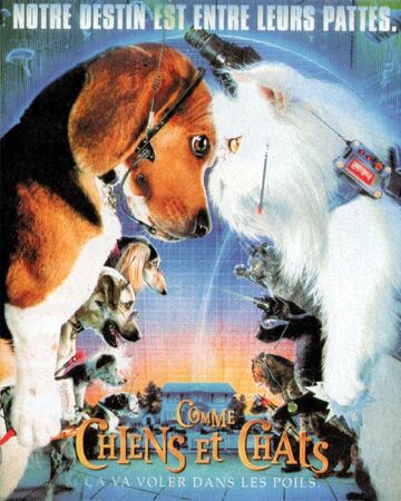 Comme Chiens Et Chats 01 Wikia Warner Bros Fandom