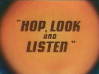 Hoplook-1-.jpg