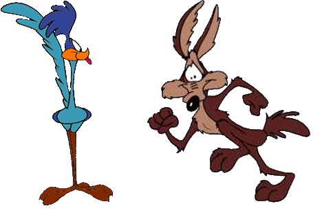 Road Runner, WB Animated Universe Wiki