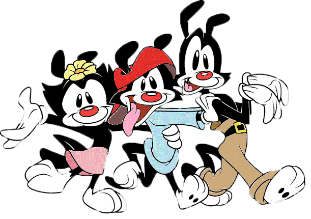 animaniacs wakko without his hat