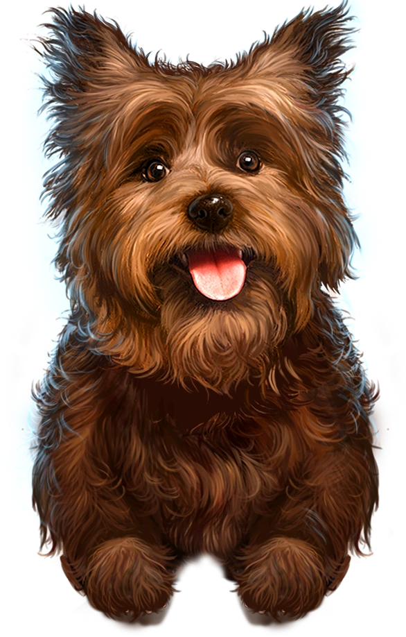 Toto Warner Bros Fanon Wiki Fandom