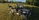 M151A2 scout US