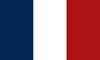 INGAME FR FLAG