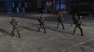 WARNO_Armory_VA019_MP_PATROL