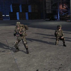 Warno Infantry units