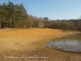 Horsell Common Landing Site