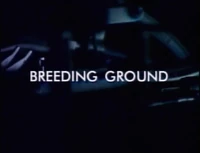 Breeding Ground title card