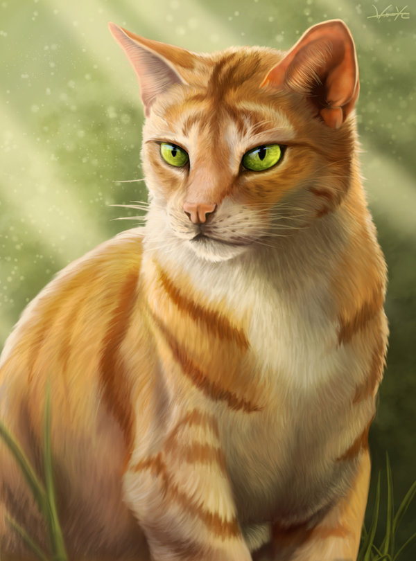 Firestar, From Thunder Clan