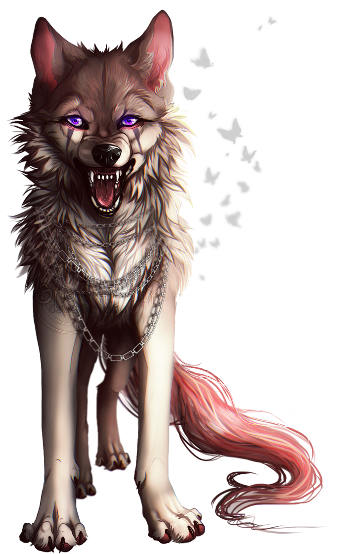 scarred anime wolf