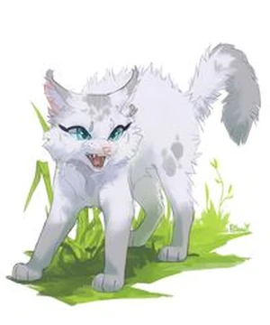white anime warrior cat