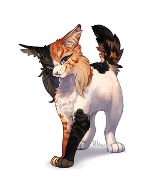 AI Image Generator Semirealistic cat semianime fanart style warrior  cat style warrior cats fan art closer view of the head forest  background insanely detailed warm sunny lighting natural lighting  beautiful cool moody