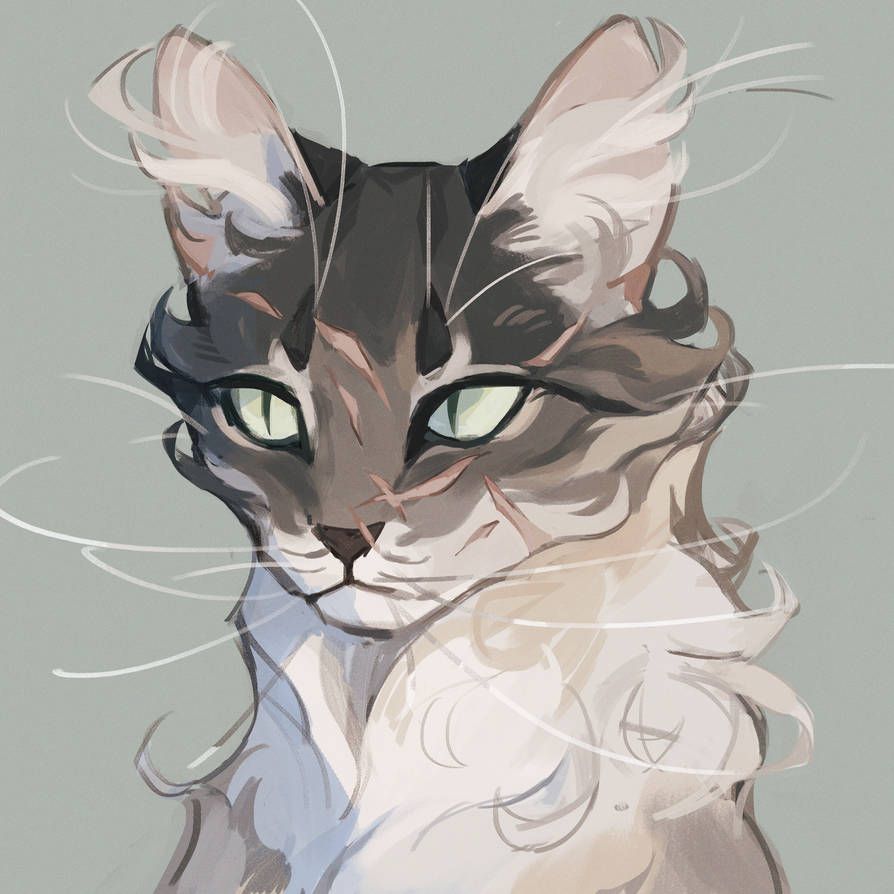 Warrior Cats Club! | Draw, RP, Chat, and Share Art! | Small Online Class  for Ages 12-16