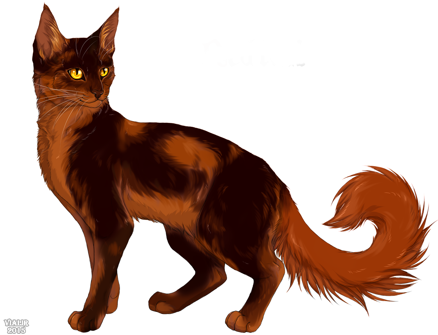 Redtail, Warrior cats Wiki