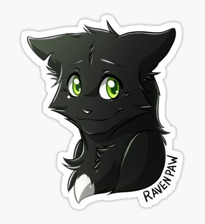Warrior Cats Ravenpaw
