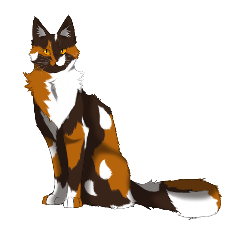 Duskflower | Warrior Cat OC Clans Wiki | Fandom.