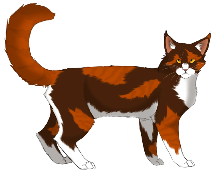 Ярохвост коты воители