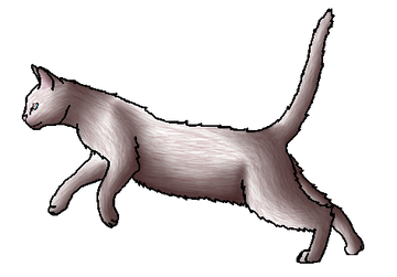 Cloudfrost | Warrior Cats: A New Dawn Wikia | Fandom