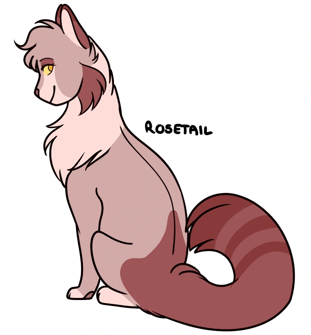 Which Rosetail design do you prefer? Warrior Cats Discussion Wiki Fandom