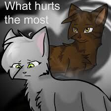 Forbidden A Cat Love Story Warrior Cats Fan Clans And Roleplaying Wiki Fandom