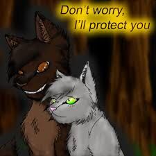 Forbidden A Cat Love Story Warrior Cats Fan Clans And Roleplaying Wiki Fandom