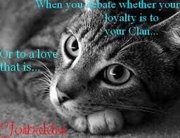 Forbidden A Cat Love Story Warrior Cats Fan Clans And Roleplaying Wiki Fandom