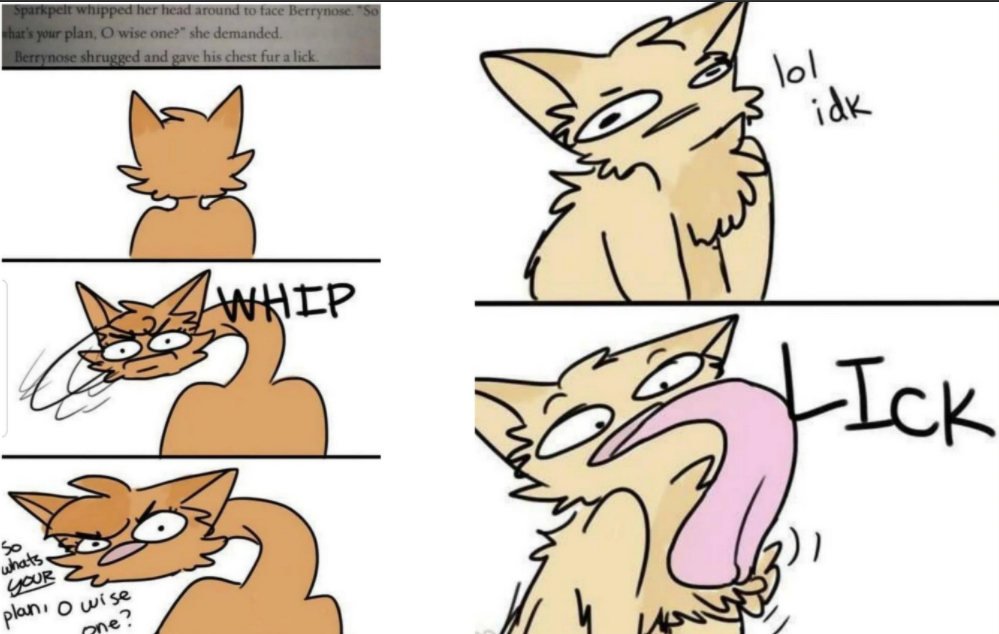 Warrior Cats Memes And Jokes Warrior Cats Fan Headquarters Wiki Fandom Warrior Cats Memes And Jokes Warrior Cats Fan Headquarters Wiki Fandom