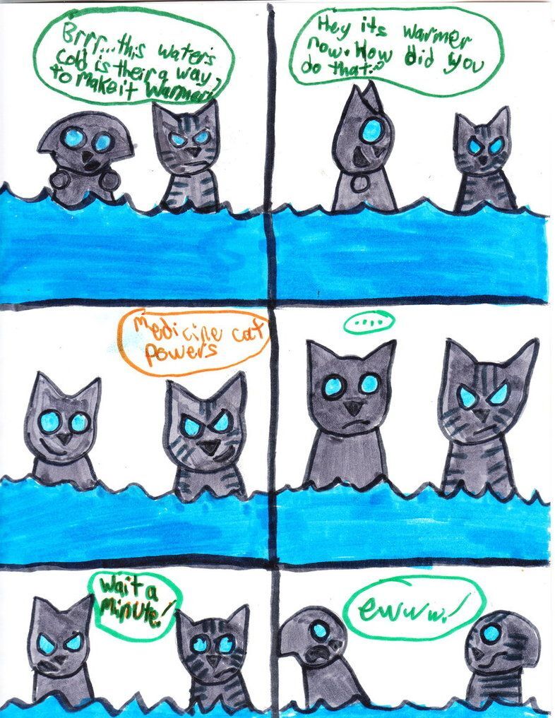 Warrior Cats Memes And Jokes Warrior Cats Fan Headquarters Wiki Fandom
