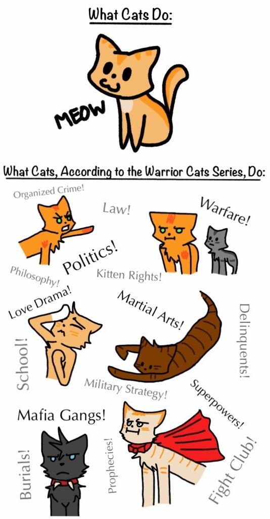 Warrior Cats Memes And Jokes Warrior Cats Fan Headquarters Wiki Fandom