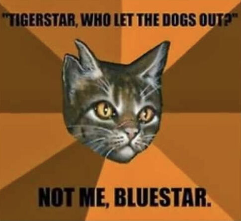 Warrior Cats Memes And Jokes Warrior Cats Fan Headquarters Wiki Fandom Warrior Cats Memes And Jokes Warrior Cats Fan Headquarters Wiki Fandom