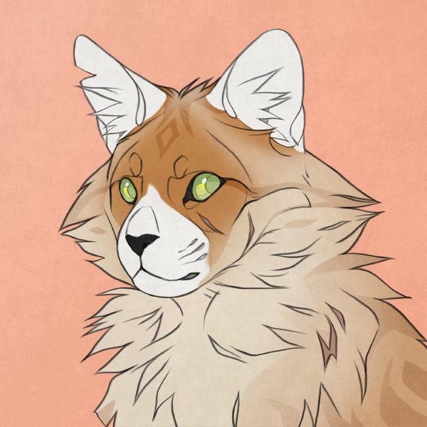 Warrior Cats Fun Facts