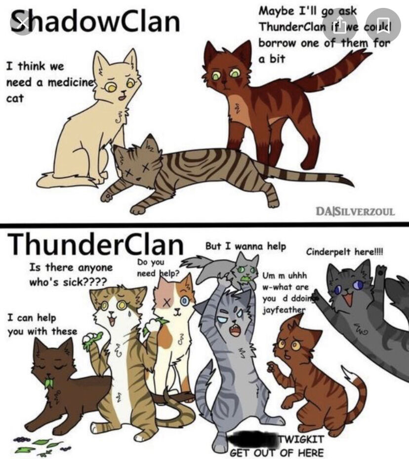 WarriorCats warrior cats Memes & GIFs - Imgflip