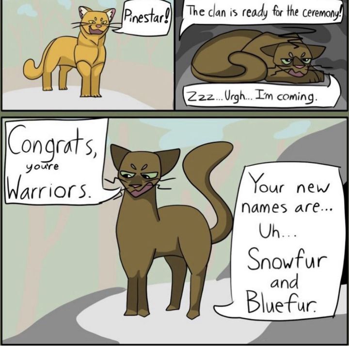 Jayfeather  Warrior cats, Warrior cats art, Warrior cat memes