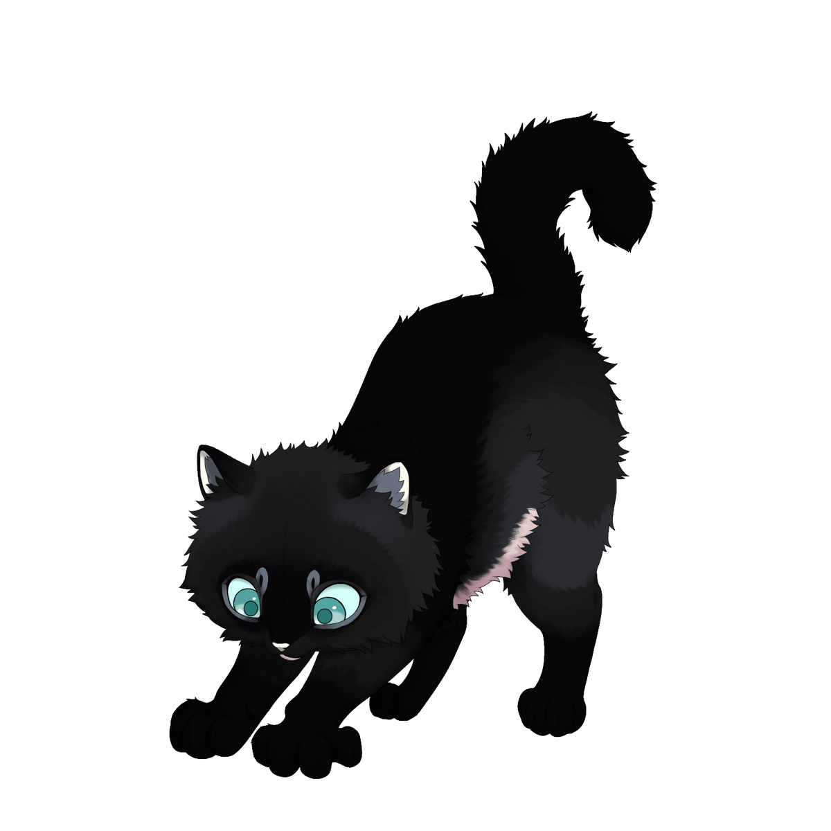 dwellkit-warrior-cats-fanon-wiki-fandom