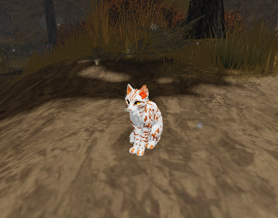 Daffodilblaze Warrior Cats Fanon Wiki Fandom