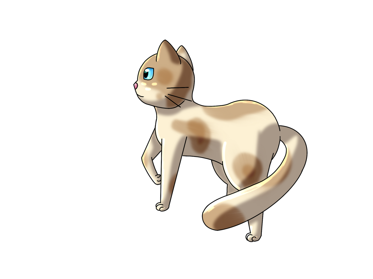 brightsparrow-warrior-cats-fanon-wiki-fandom