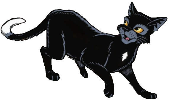 Ravenpaw | Warrior Cats (IRP) Wiki | Fandom