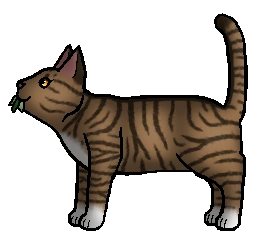 Categorie De Personages Nederlandse Warrior Cats Wiki Fandom