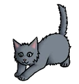 Kitten versie